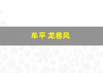 牟平 龙卷风